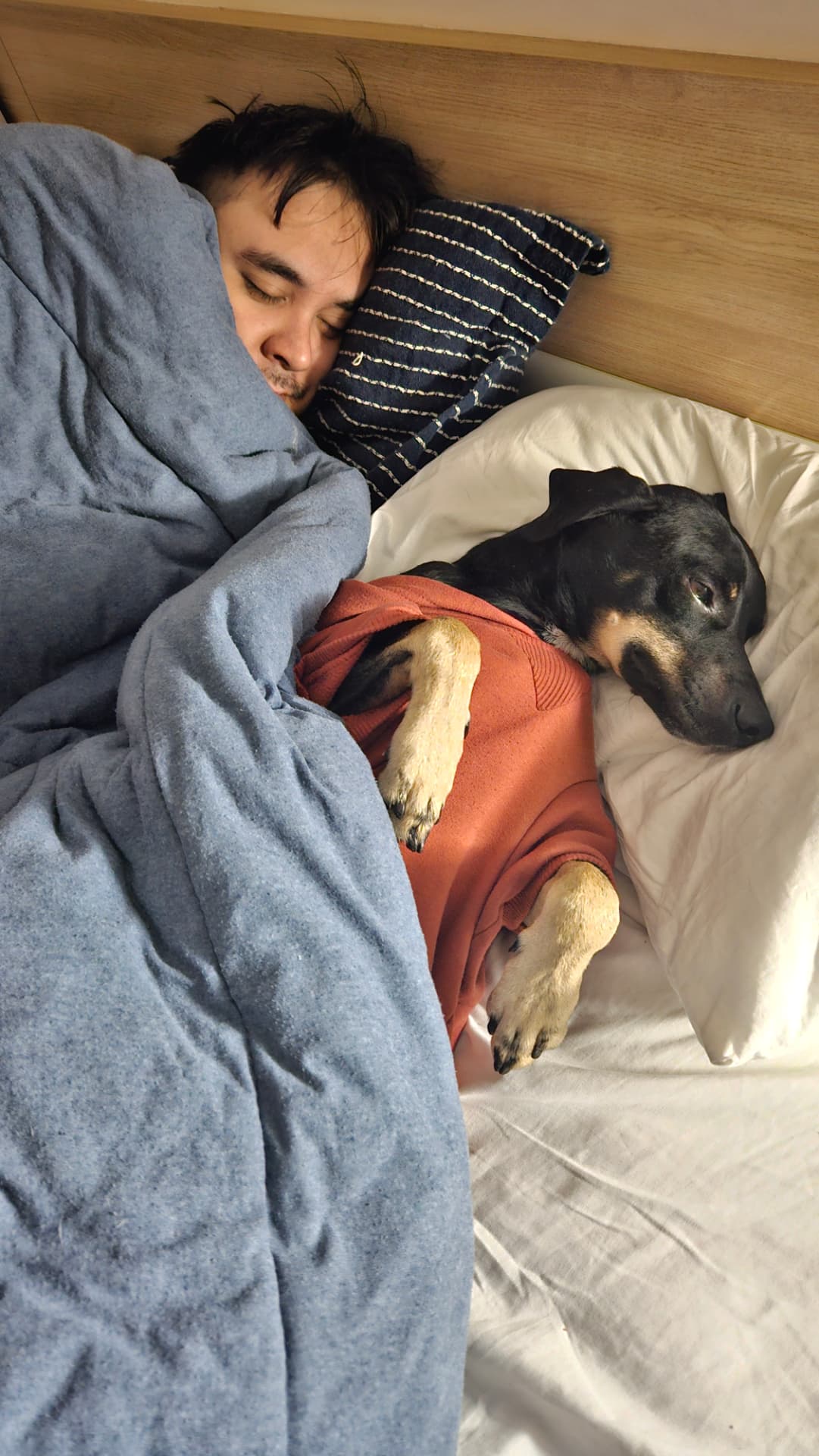 William dormindo abraçado com o cachorro de moletom